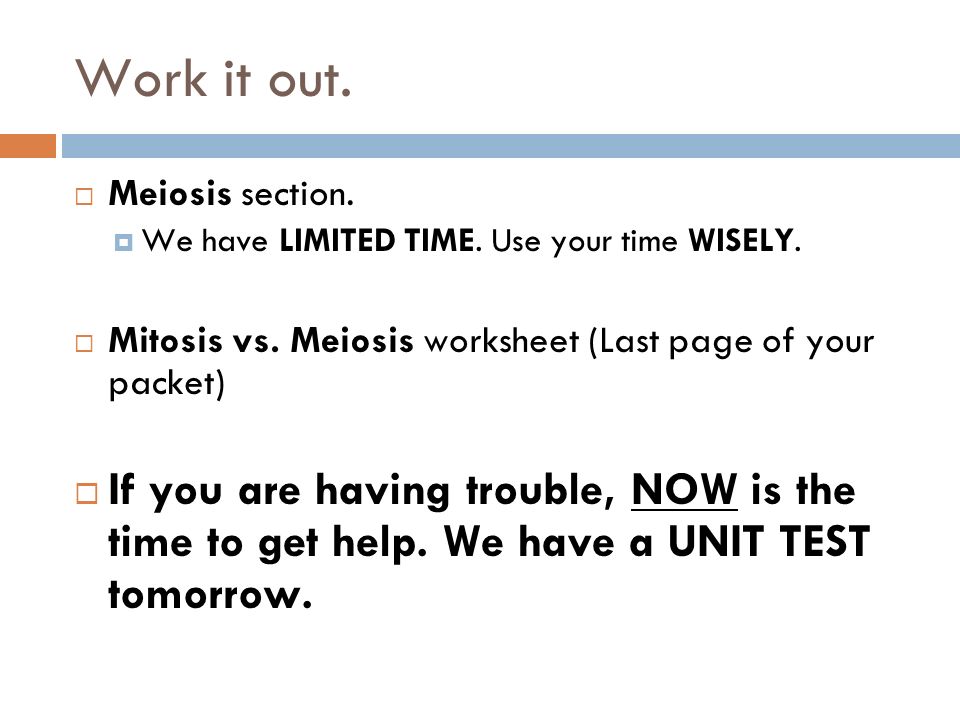 use time wisely essay help